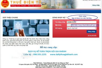 Hướng dẫn đăng nhập hệ thống ETAX (thuedientu.gdt.gov.vn)